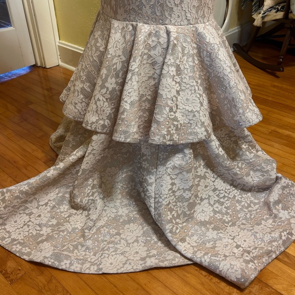 Elegant Lace Mermaid Gown - Picture 6 of 9